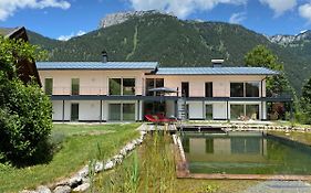 Apartment Steinplatte